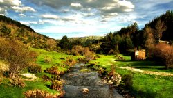 Beautiful River in Mountain Forest