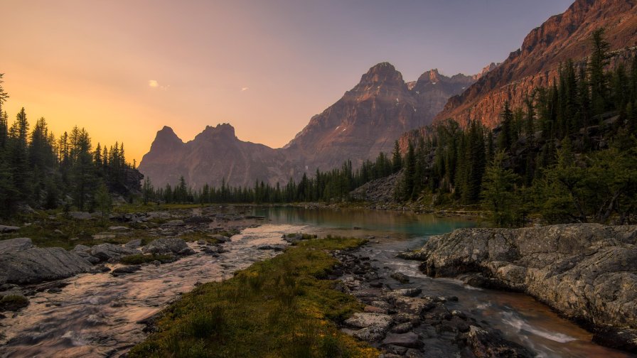 Beautiful River in Mountain Valley and Trees in Forest