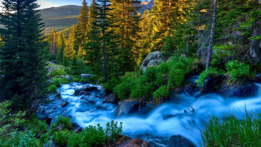 Beautiful River in the Mountains