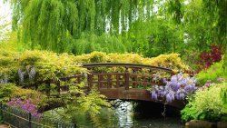 Beautiful Small Bridge in the Green Garden