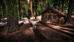 Beautiful Small House in the Old Forest