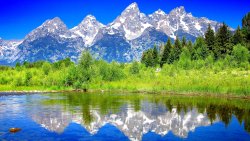 Beautiful Snowy Mountains and Big Old Forest