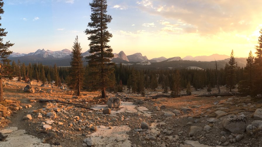 Beautiful Stone Valley and Forest