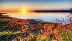 Beautiful Sunrise and Meadow on the Lake