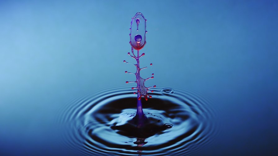 Beautiful Water Drops Close Up