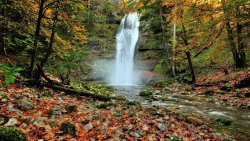 Beautiful Waterfall in the Autumn Forest