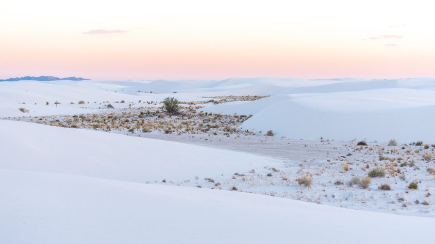 Beautiful White Sands by Sara Sheehy