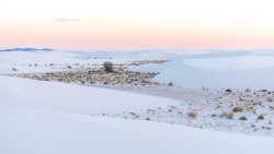 Beautiful White Sands by Sara Sheehy