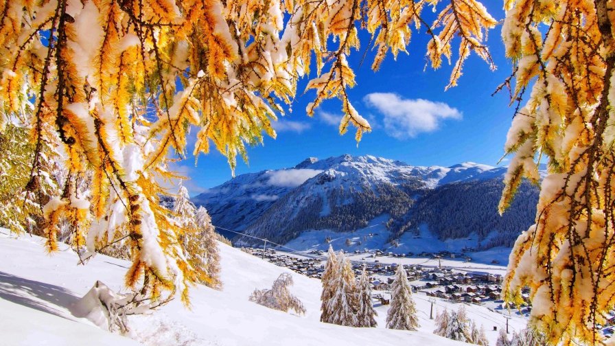 Beautiful Winter Forest and Mountain Valley