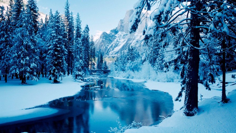 Beautiful Winter Forest and River