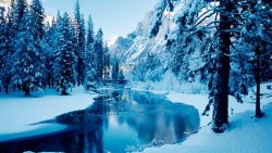Beautiful Winter Forest and River