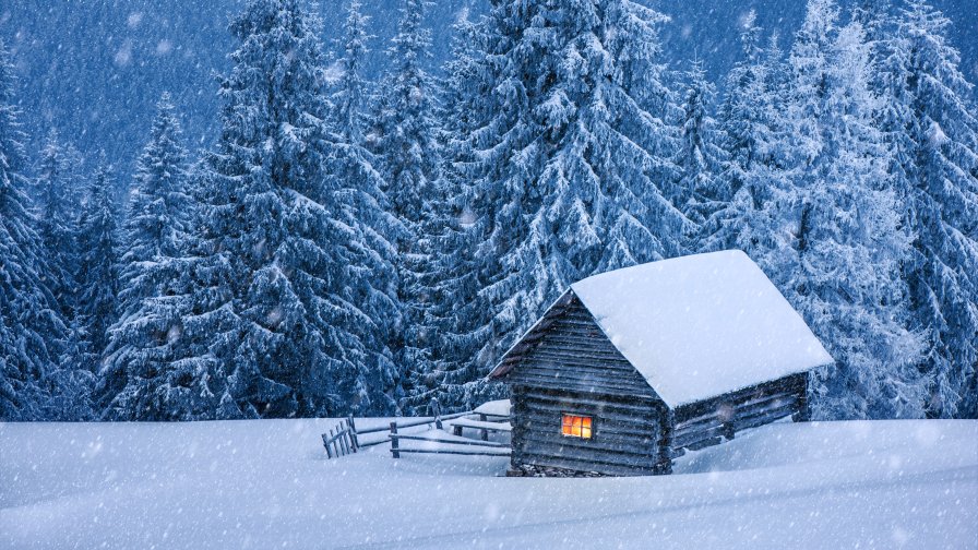 Beautiful Wood Single House in Forest