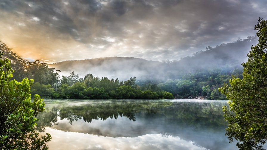 Big Lake Dawn Fog and Green Forest