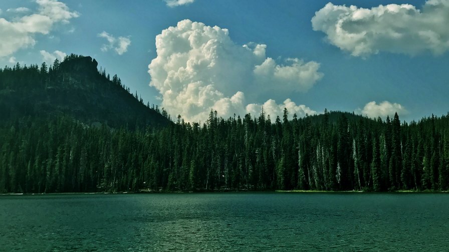 Big Lake Green Forest and Mountain