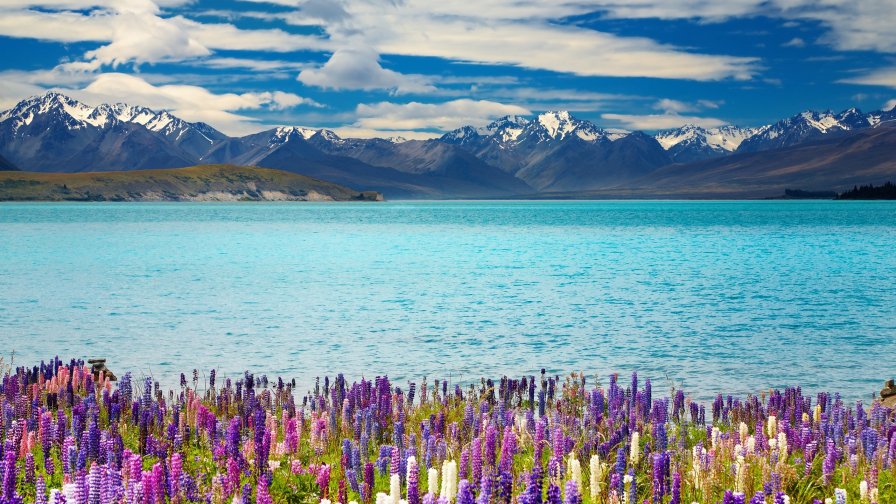 Big Lake Tekapo and Mountains in New Zealand