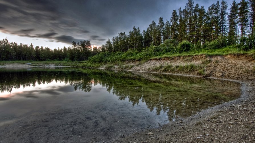 Lake with Pure Water and Pine Forest