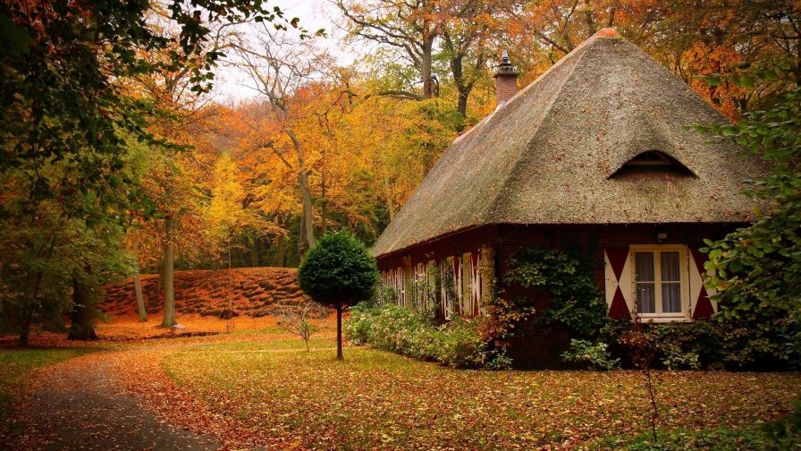 Big Lonely House in Autumn Forest