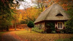 Big Lonely House in Autumn Forest