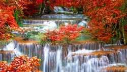 Big Waterfall and Red Leaves on the Trees