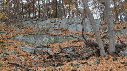 Black Stone Wall in the Autumn Forest