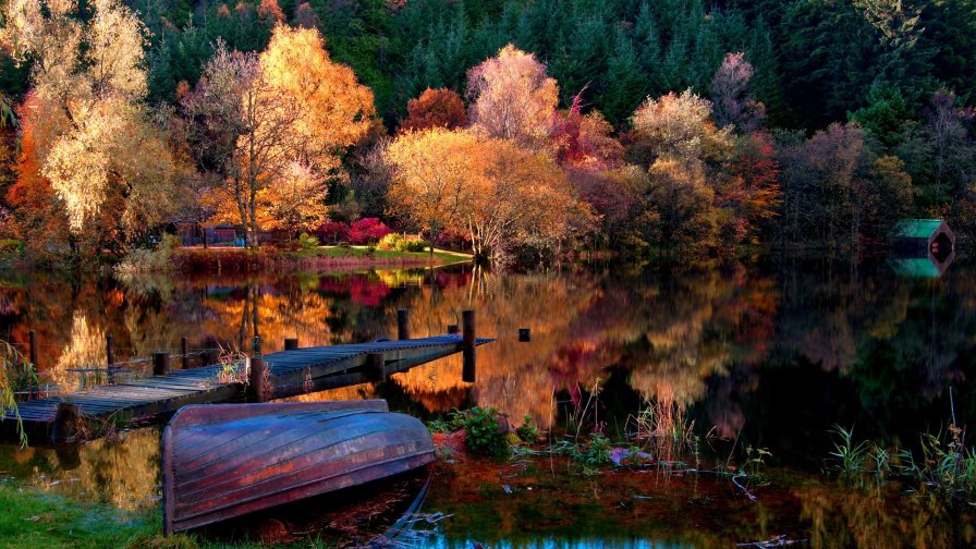 Bridge Boat Lake and Autumn Forest