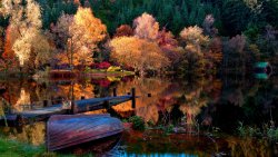Bridge Boat Lake and Autumn Forest