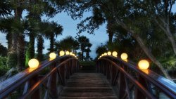 Bridge and Lights