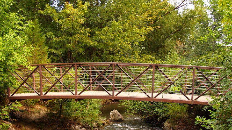 Bridge and River in Green Forest