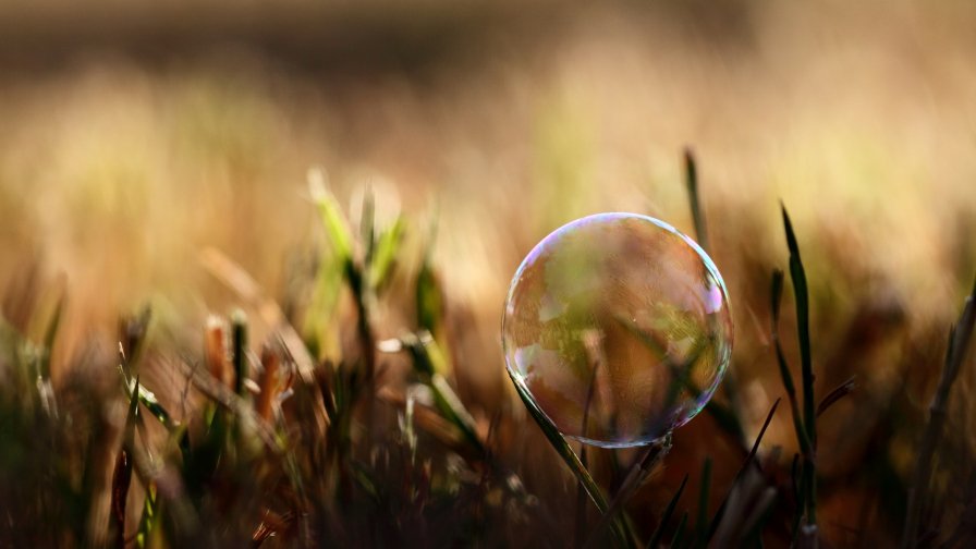 Bubble in the Grass