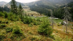 Carpathians Ukraine Mountain Valley and Small Village