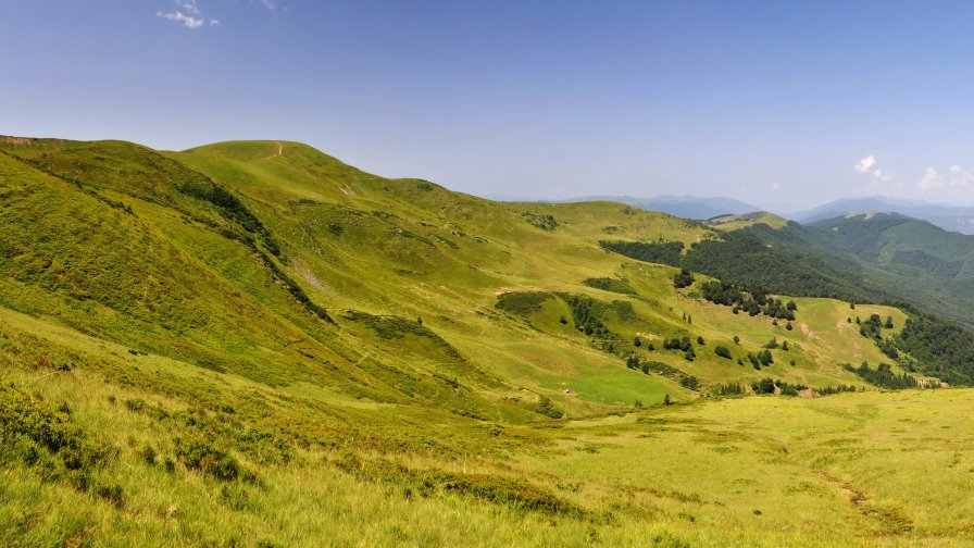 Carpathians Ukraine Mountain Valley with Green Grass