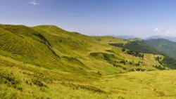 Carpathians Ukraine Mountain Valley with Green Grass