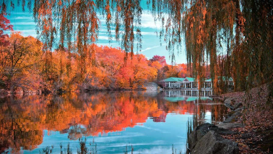 Central Park with Big Lake