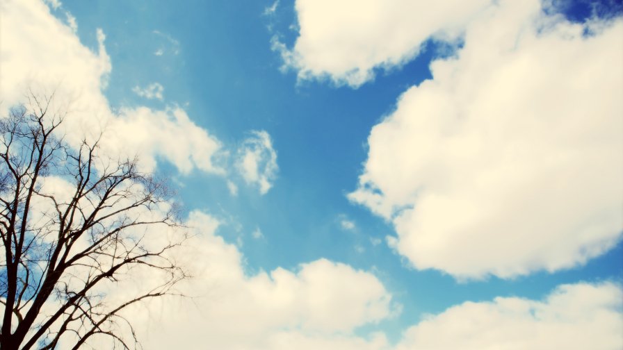 Clouds and Single Tree