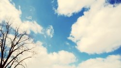 Clouds and Single Tree