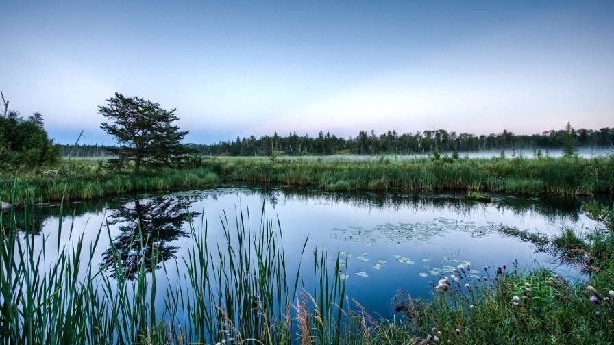 Crystal Lake and Swamp