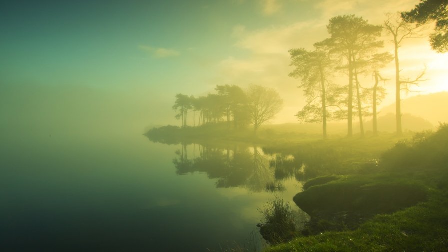 Dawn and Fog on the Lake