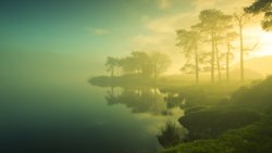 Dawn and Fog on the Lake