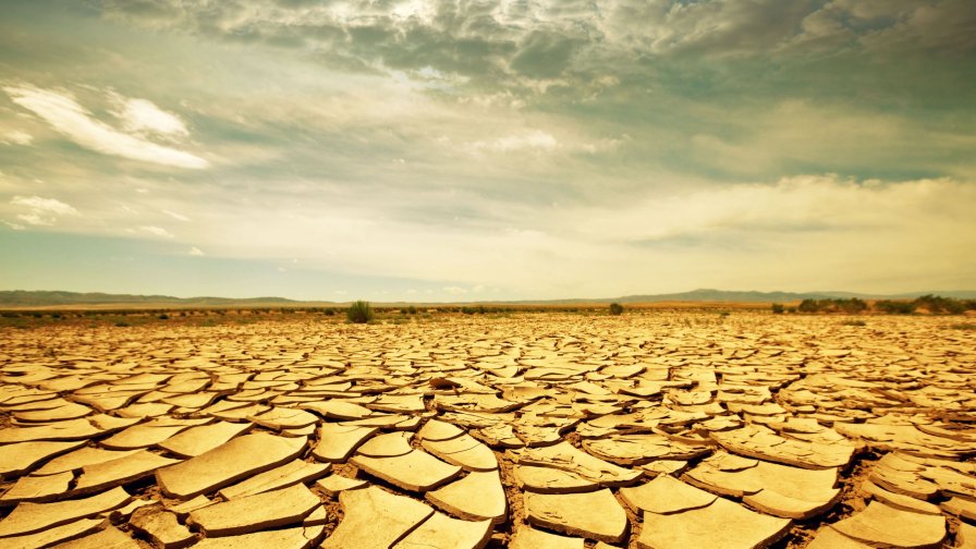 Dead Desert