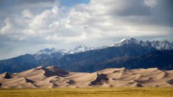 Desert Forest and Mountains