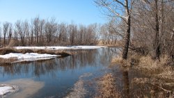 Early Spring on the River Melting Snow