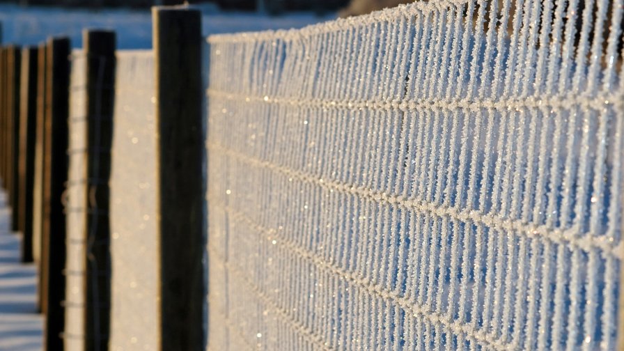Fence and Frost