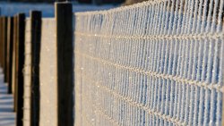 Fence and Frost