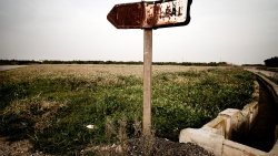 Field and Old Road Sign