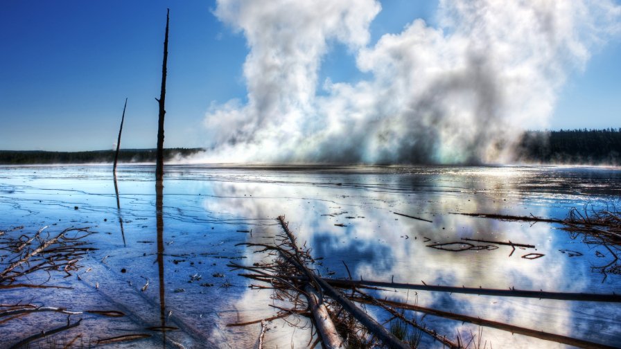 Fog on the Lake