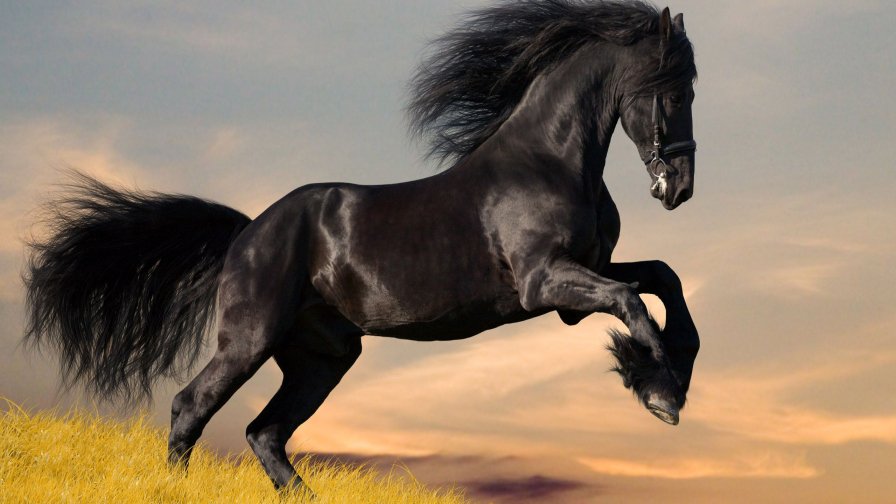 Galloping Horse