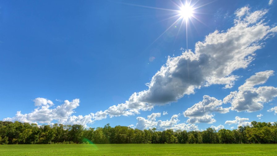 Good Day Green Meadow and Forest