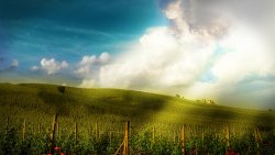 Green Field Sunrays and Clouds