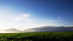 Green Field and Beautiful Sky