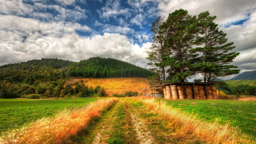 Green Field and Mountain in New Zealand